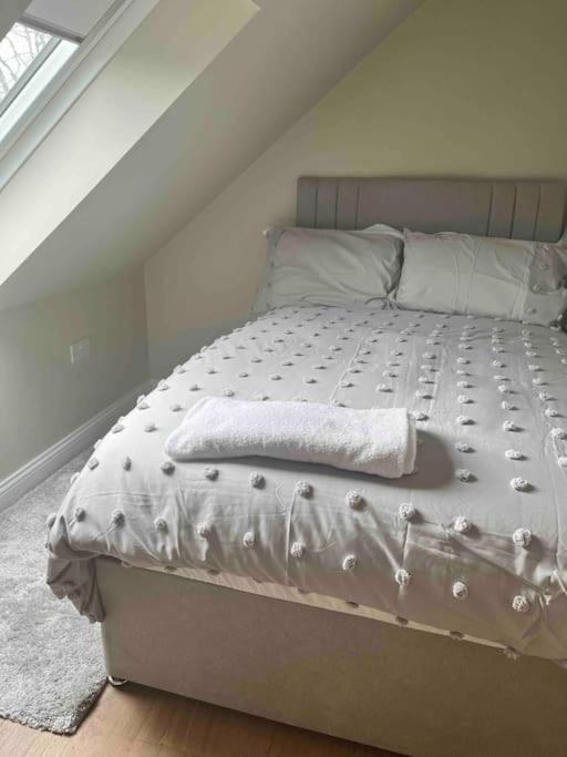Mid Antrim Modern Apartment Newferry エクステリア 写真